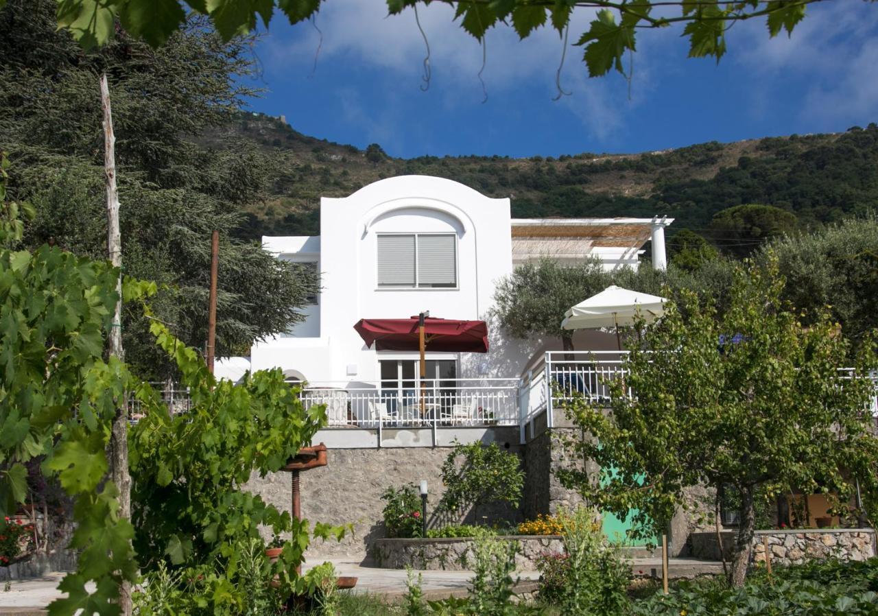 Villa Romano, Anacapri מראה חיצוני תמונה