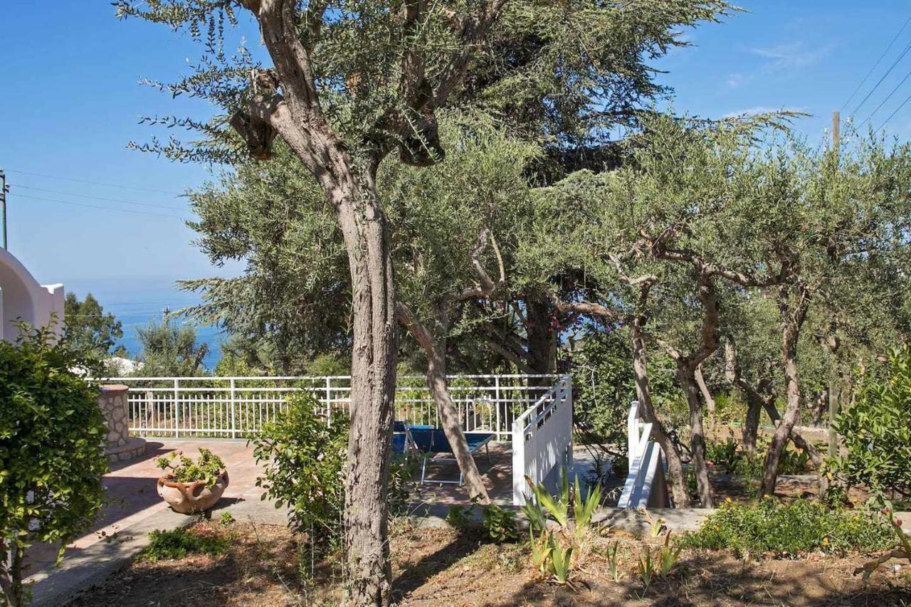 Villa Romano, Anacapri מראה חיצוני תמונה